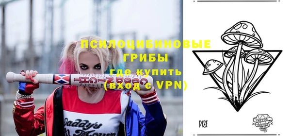 твердый Рославль